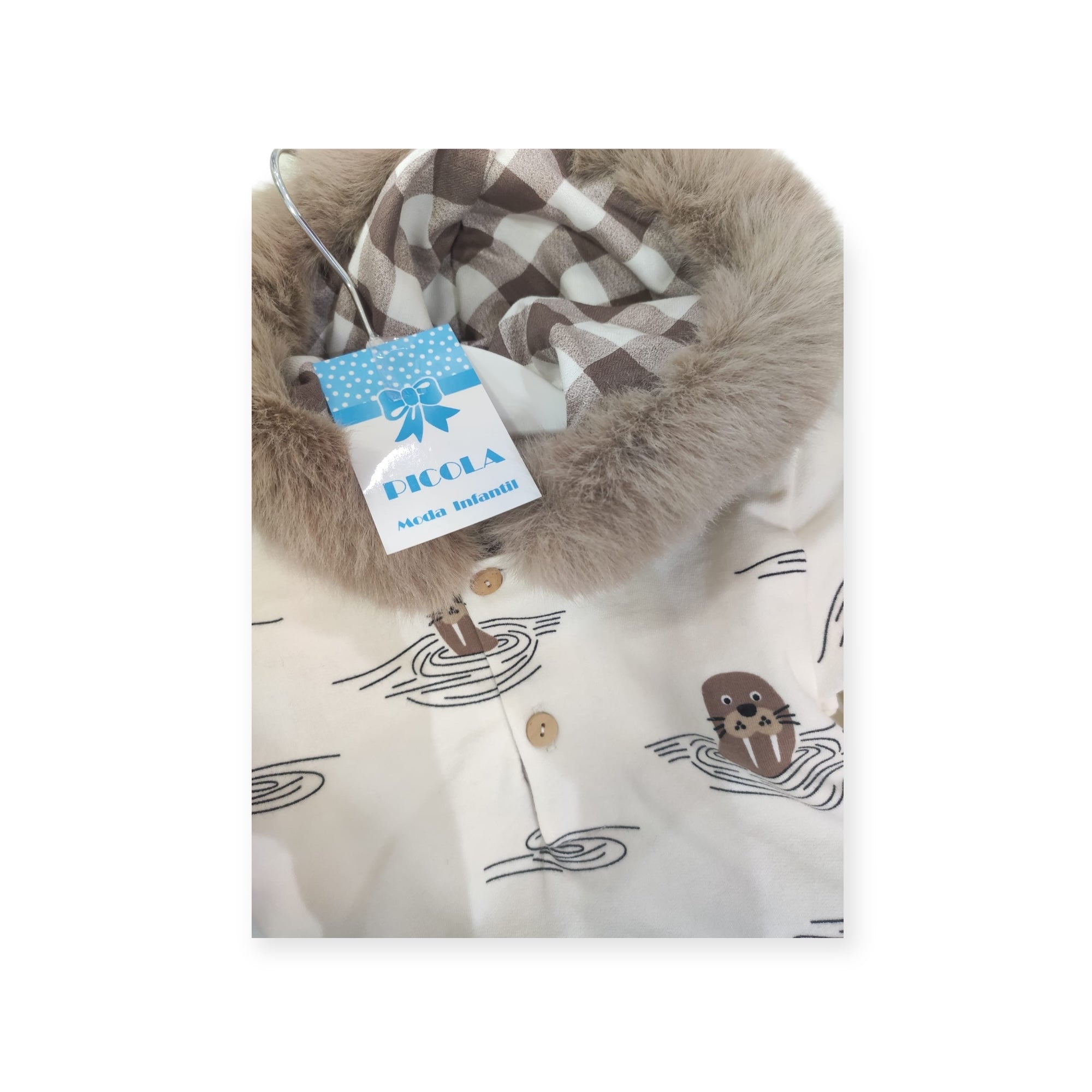 Conjunto Foca