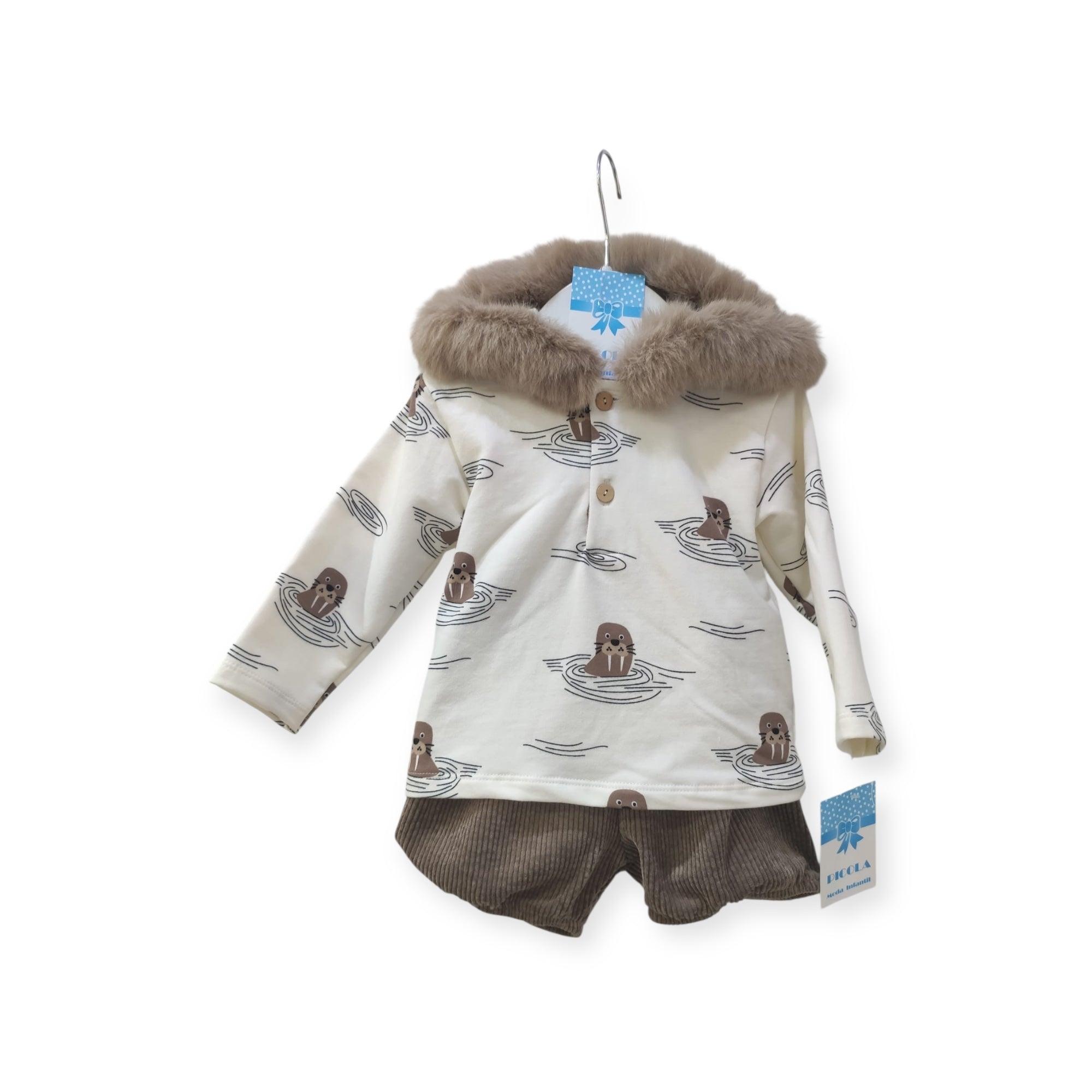 Conjunto Foca
