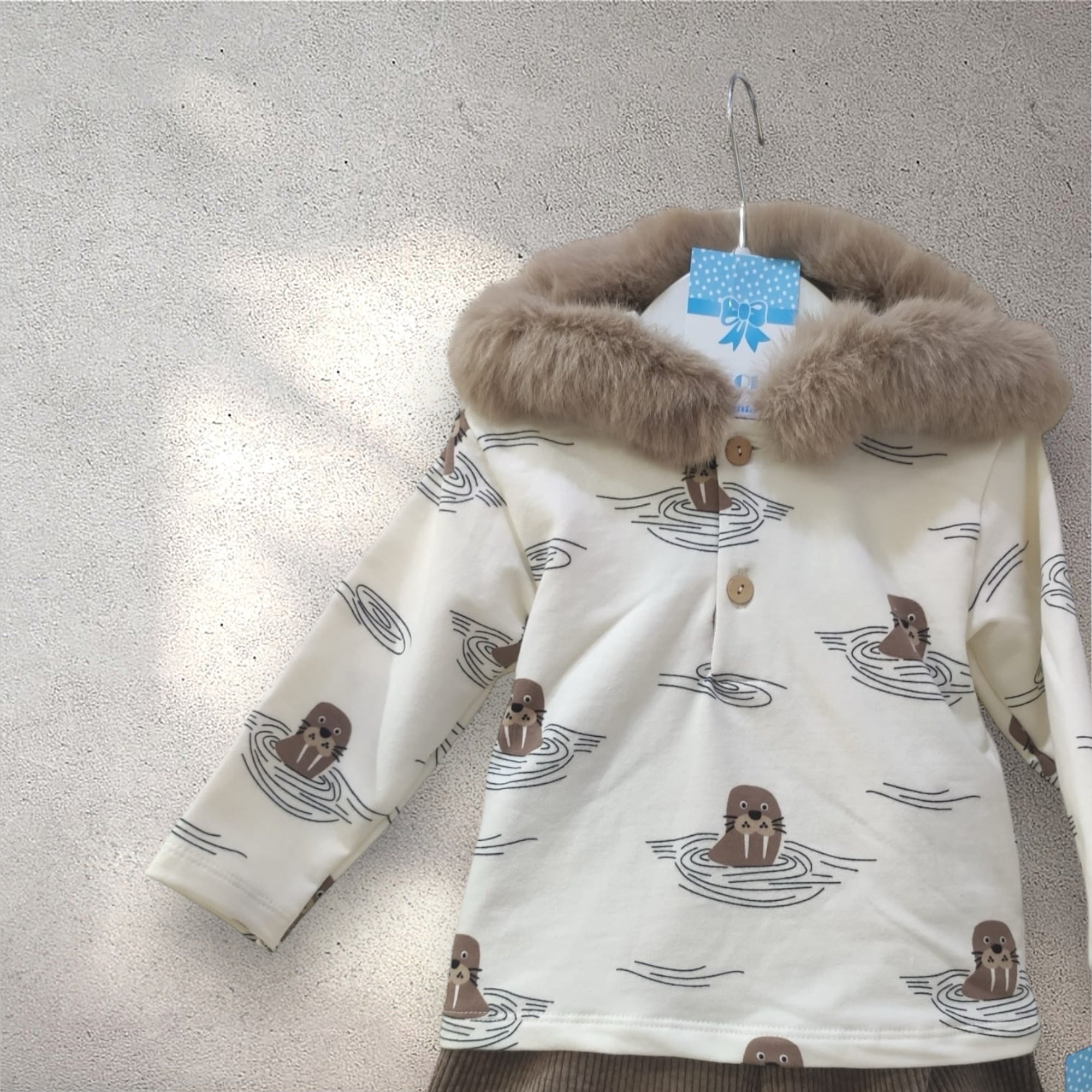 Conjunto Foca
