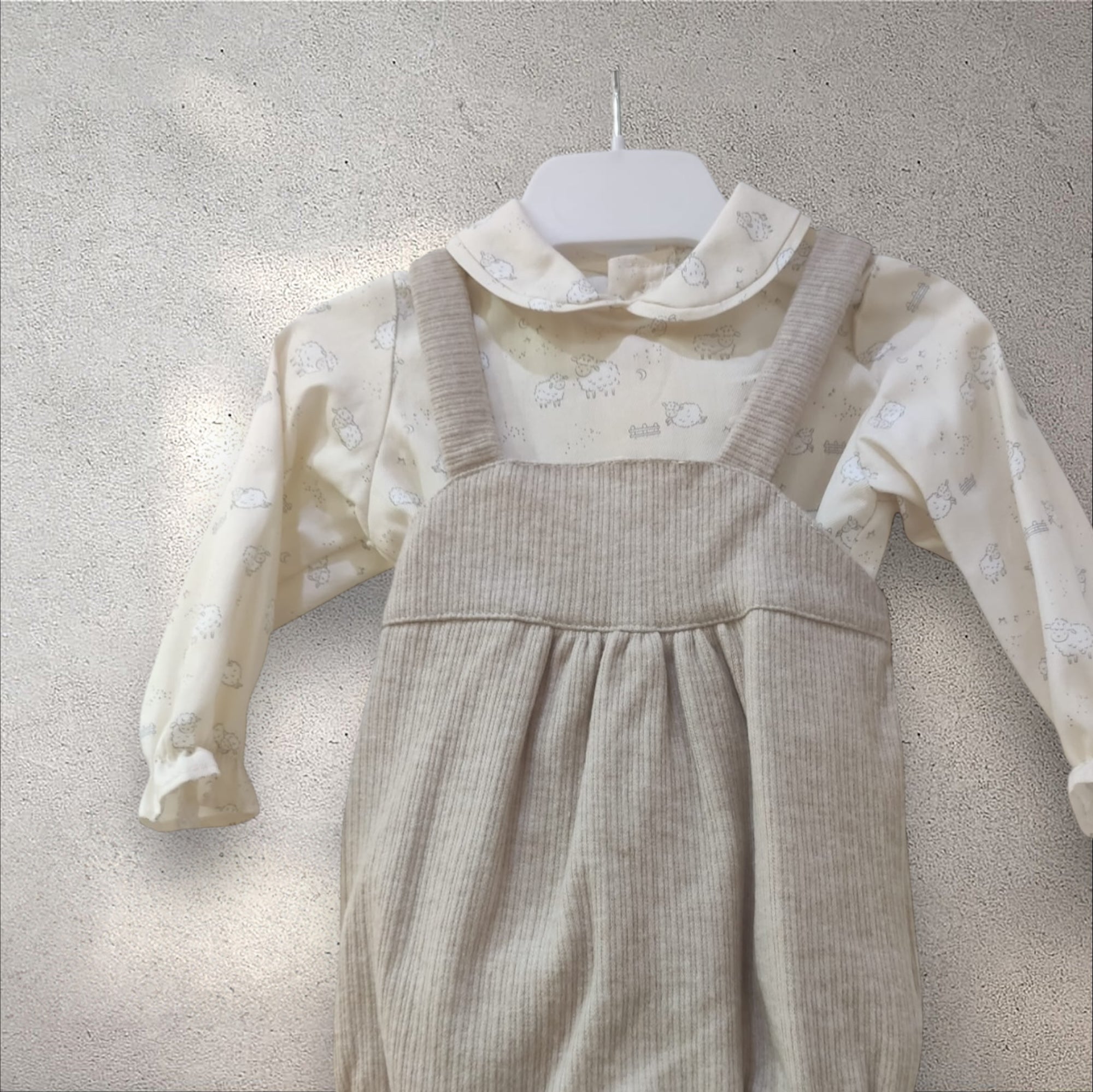 Conjunto Ovejita